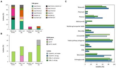 Genetic characterization of ESBL-producing and ciprofloxacin-resistant Escherichia coli from Belgian broilers and pigs